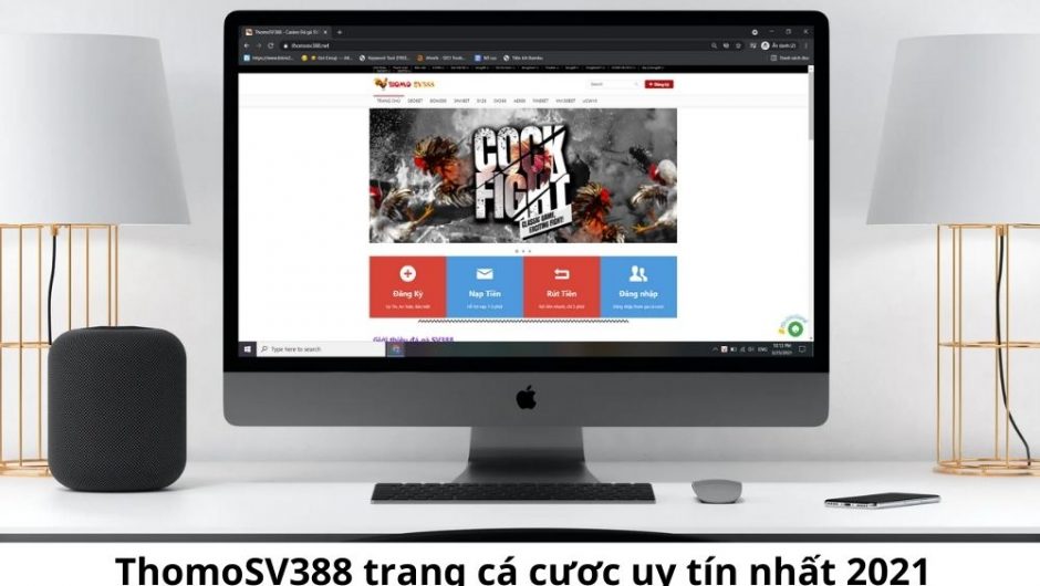 Đá gà ThomoSV388 – Trang nhận cược đá gà trực tuyến uy tín nhất 2021
